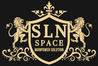 SLN Space Logo